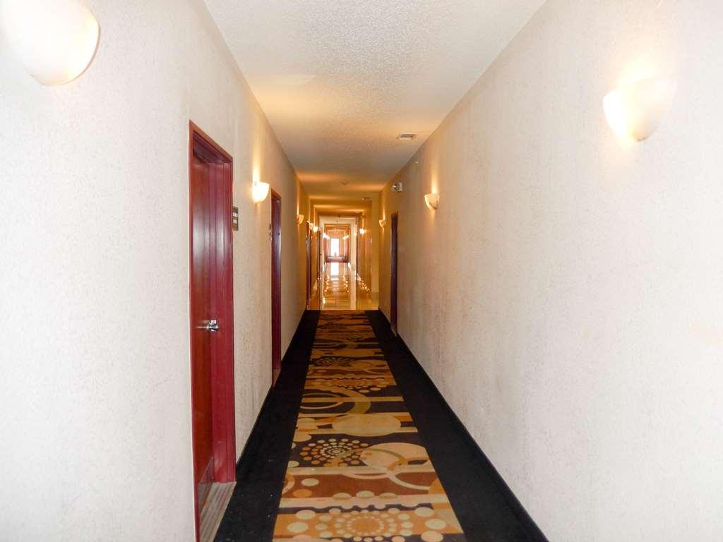 Motel 6-Mesquite, Tx - バウチ・スプリングス 設備 写真